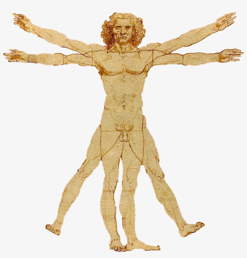 Portale Leonardo Da Vinci - Homo Erectus De Leonardo Da Vinci, transparent png download