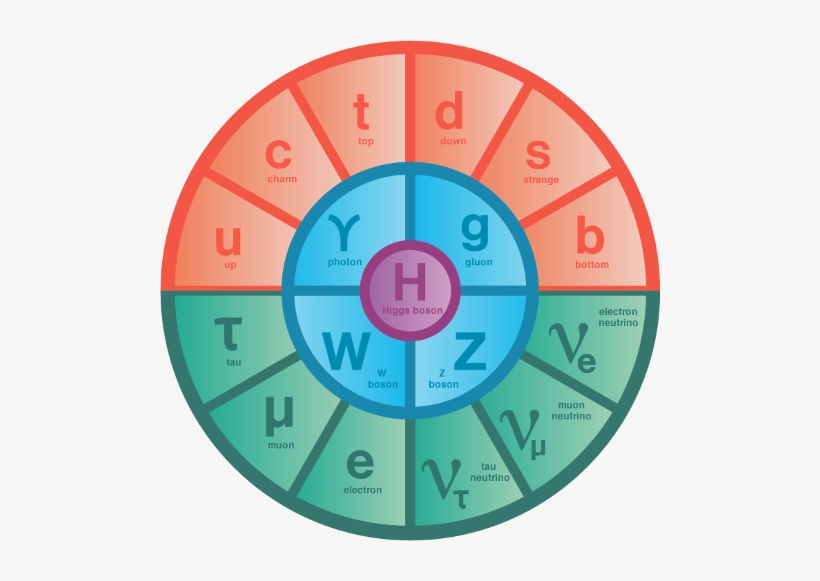 What Follows Is A Big Vulgarization Of Advanced Concepts - Particules Du Modèle Standard, transparent png download