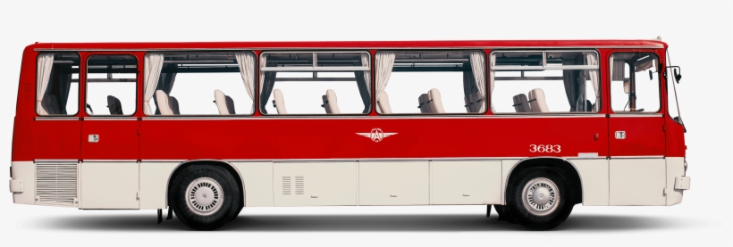Buses - Bus, transparent png download