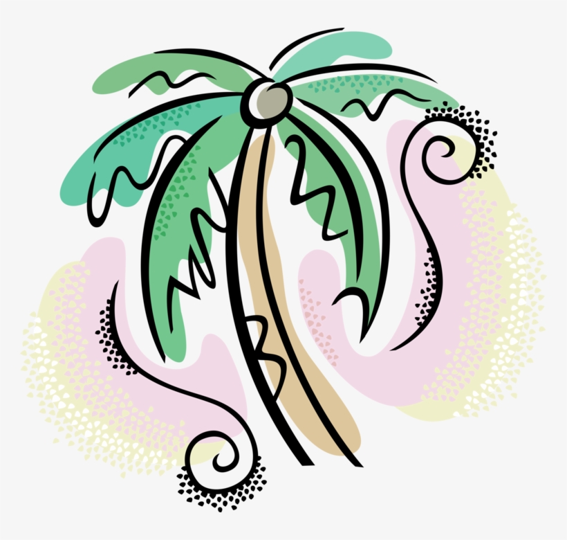 Vector Illustration Of Arecaceae Palm Tree With Coconuts - Palm Tree Clip Art, transparent png download
