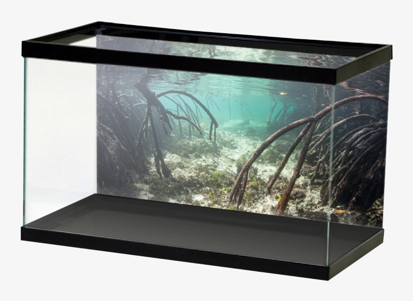 Aquariumvinyl Mangroveroots3background, transparent png download