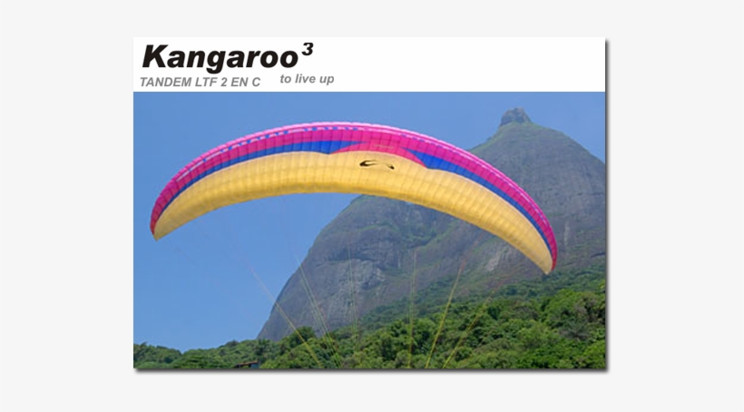 Sol Kangaroo3 - Kangaroo, transparent png download