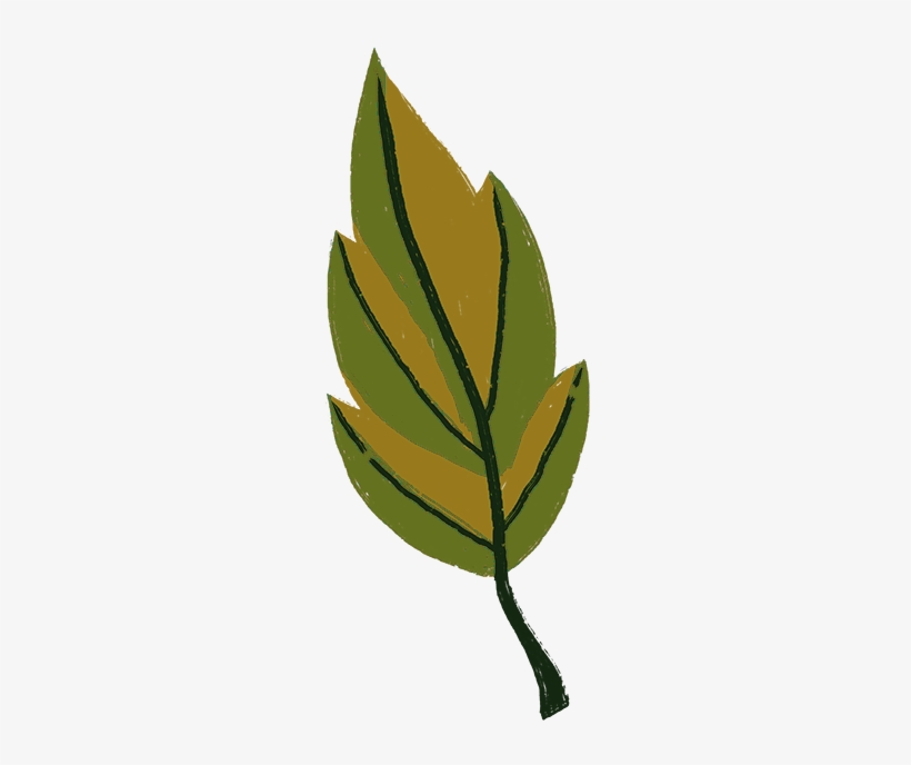 Leaf Icon - Thanksgiving, transparent png download