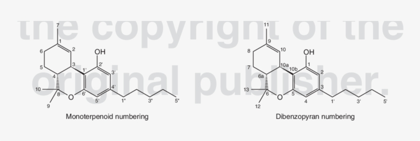 Chemical Structure Of Tetrahydrocannabinol , The Main - Tetrahydrocannabinol, transparent png download