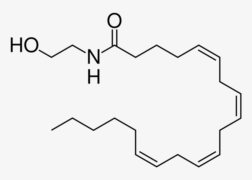 Chocolate, Cannabis Or Enlightenment - Anandamide Molecule, transparent png download