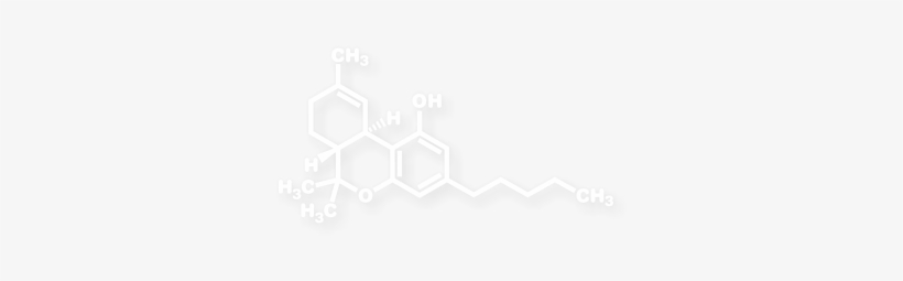 The Sticker Consists Only Of The White Area Shown Below - Monochrome, transparent png download