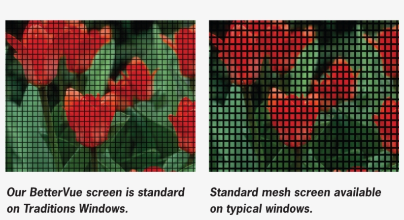 This Means That The Bettervue Screen Itself Is Not - Taj Mahal, transparent png download