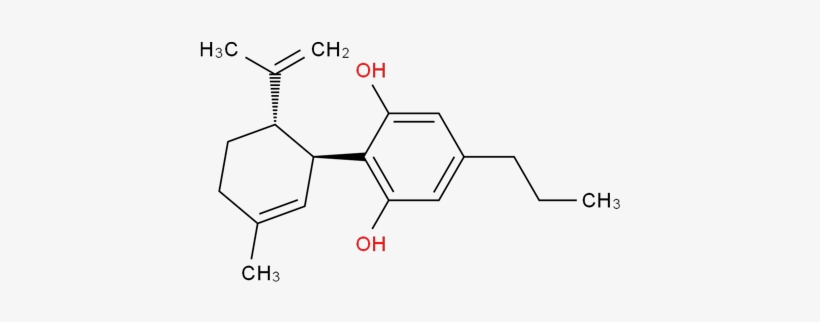 Little Is Known About Cannabidivarin As It Is Uncommon - Diagram, transparent png download