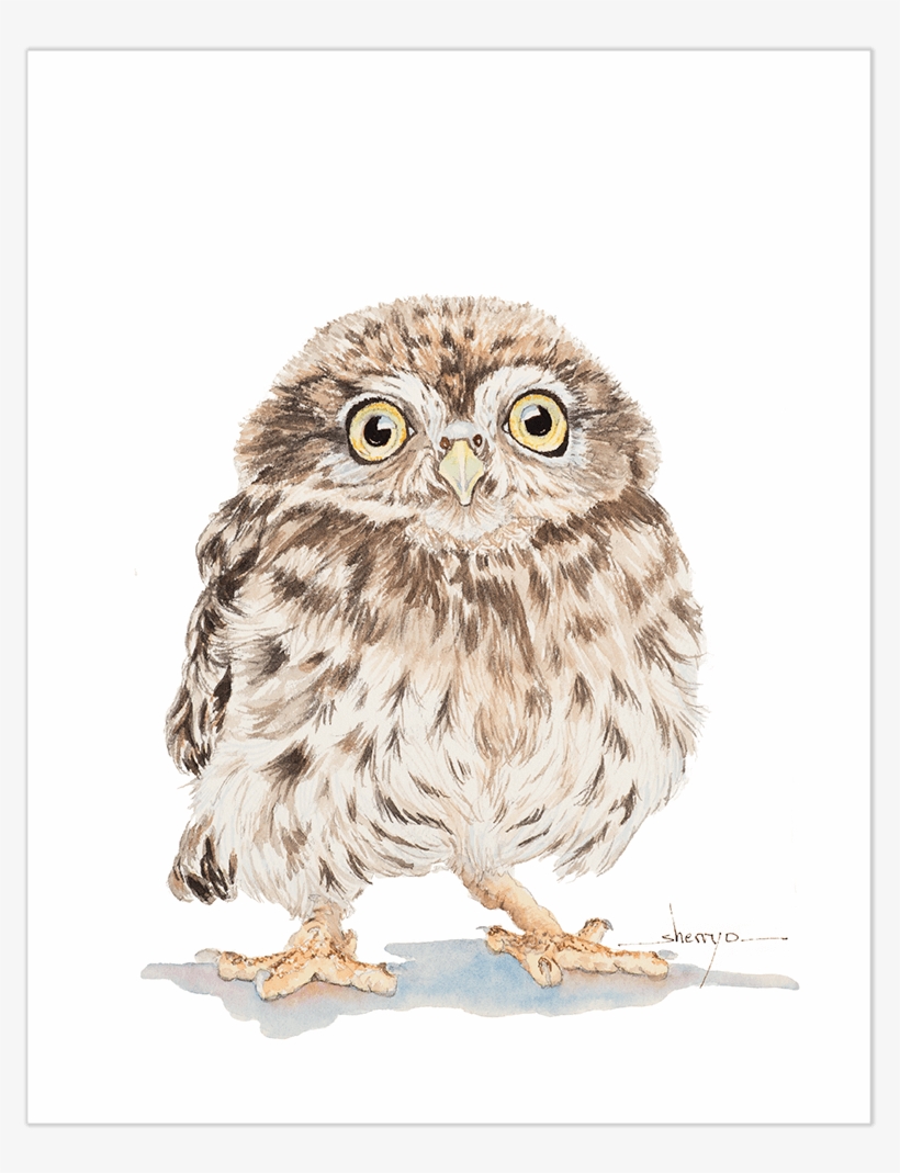 Baby Owl Wall Art - Great Grey Owl, transparent png download