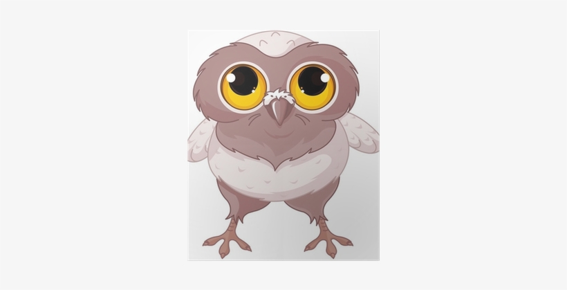 Owl, transparent png download
