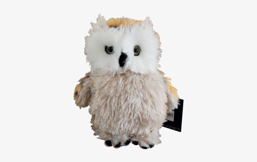 Harry Potter And The Cursed Child Owl, transparent png download