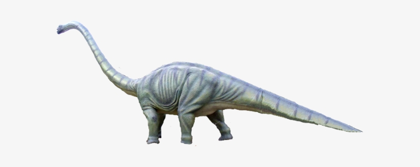 Omeisaurus Dinosaur - Various Species Of Dinosaurs, transparent png download