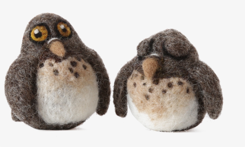 Screech Owl Babies - Screech Owl, transparent png download