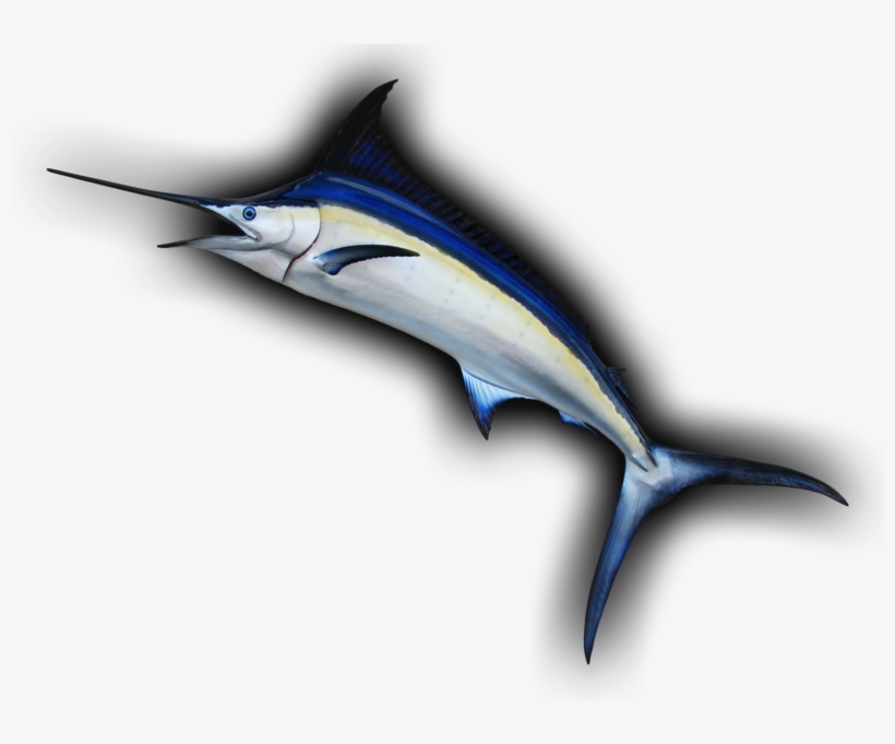 Blue Marlin Leaping Curve Fish Mount Replica - Atlantic Blue Marlin, transparent png download