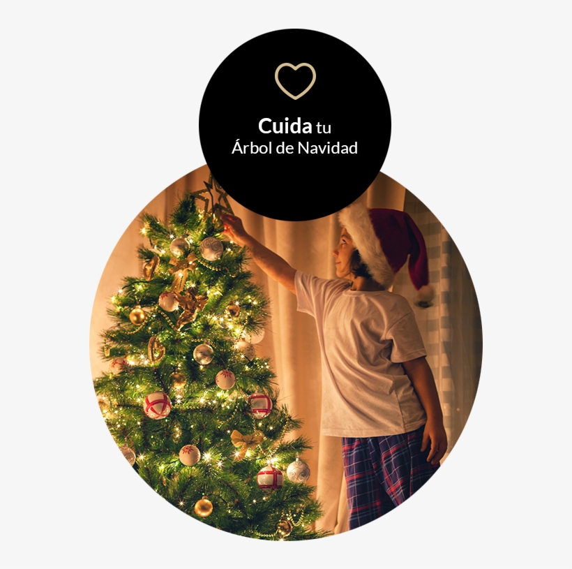 Por Último, Cuida Y Mantén Con Vida Tu Árbol - Christmas Tree, transparent png download