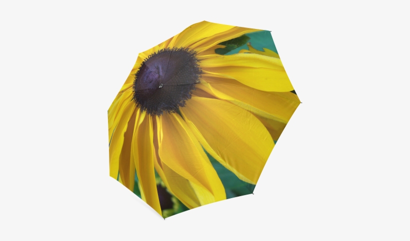 Looking Down The Black Eyed Susan Foldable Umbrella - Sunflower, transparent png download