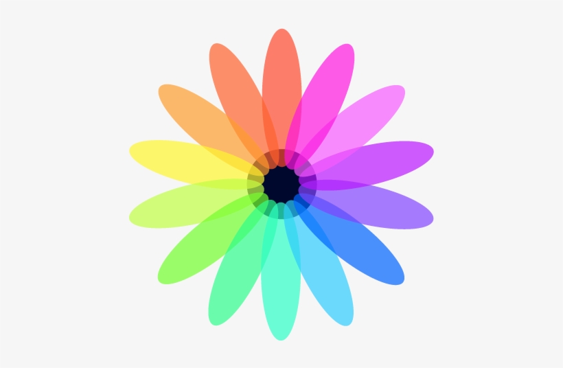 Infrequent Group Ivs Logo - Transparent Background Black Flower Transparent, transparent png download