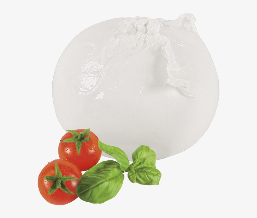 Prenotazioni - Mozzarella Di Bufala Png, transparent png download