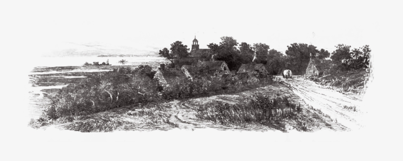 History Timeline - History, transparent png download