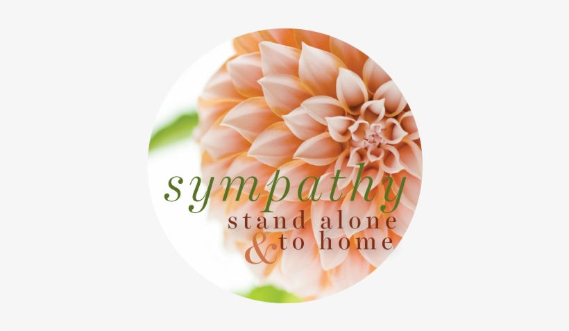 Order Online For Sympathy Flower Arrangements To The - Wallpaper, transparent png download