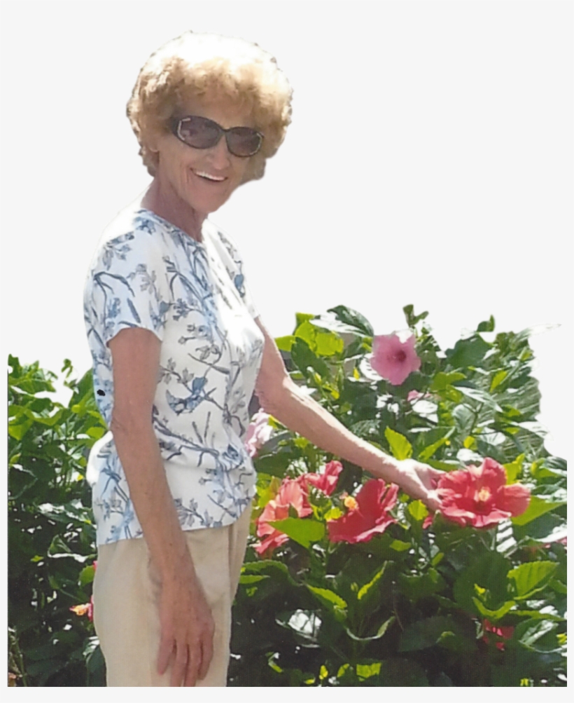 Purchase Flowers For Linda Roark - Funeral Home, transparent png download