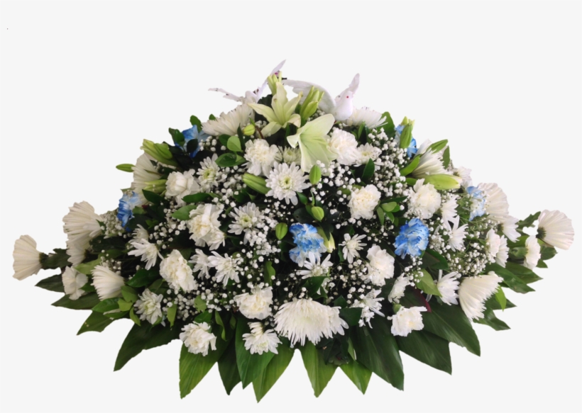 Flower, transparent png download