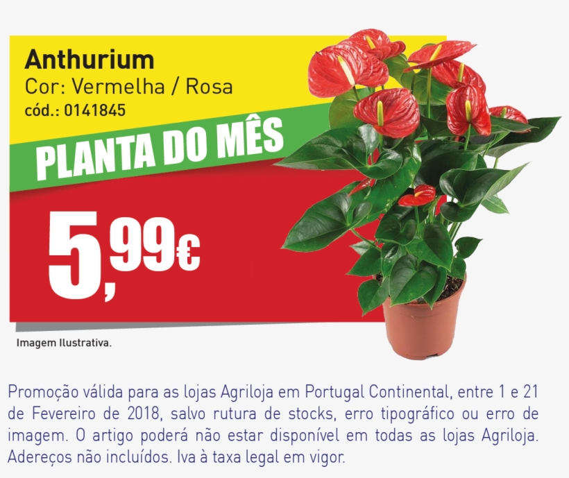 Banner Website Agril - Antúrio Red Winner, transparent png download