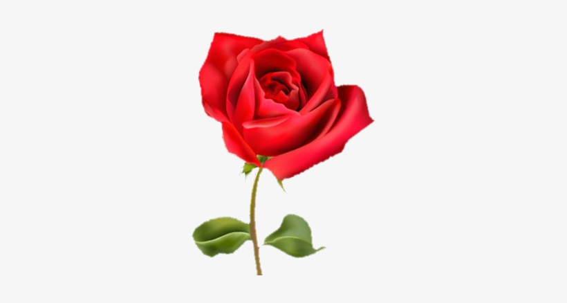 Affordable Finest Finest Villa Rosa With Rosa With - Rosicrusian Mystic's Prayer: Interpretation Of The, transparent png download