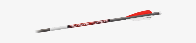 Witness™ Crossbow Arrow - Pool, transparent png download