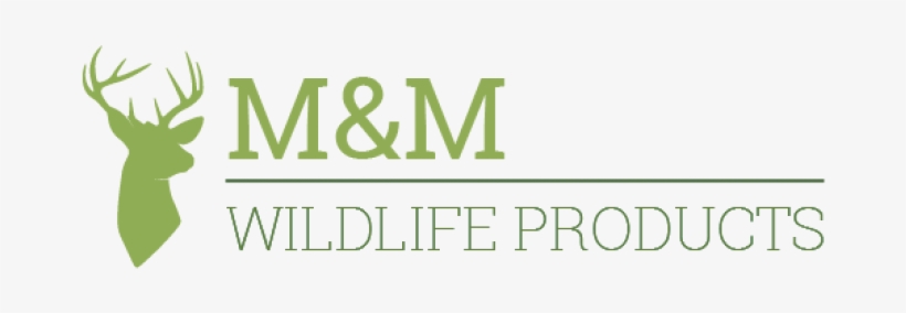 M&m Wildlife Products - Framed Poster Prints - Wander On, My Friend By 5, transparent png download