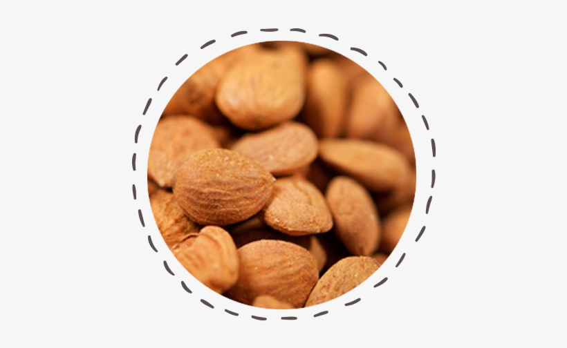 Almendra Ecológica, transparent png download