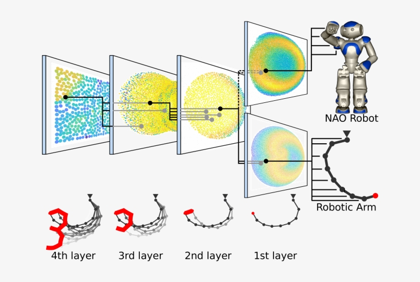 A Hierarchical Behavioral Repertoire Is A Hierarchical - Circle, transparent png download