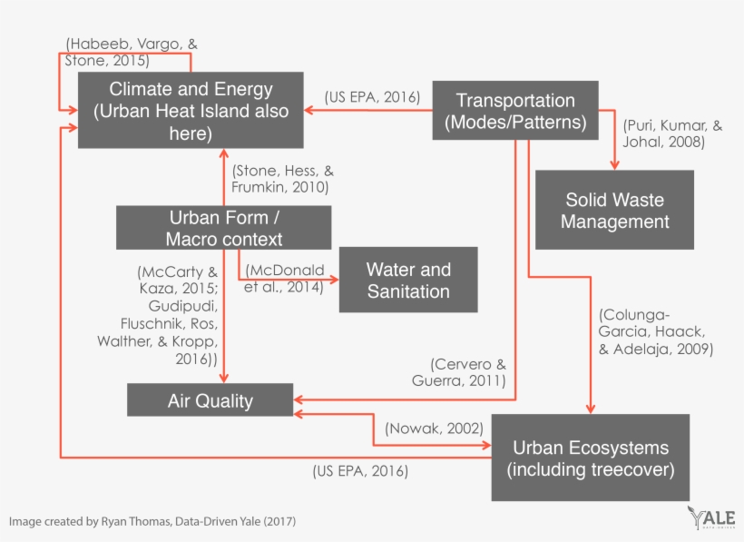 Red Lines With An Arrow Indicate A Direction Of Influence - Organigram Rooms Division, transparent png download