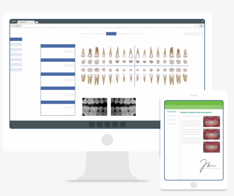 Clinical-features - Portable Network Graphics, transparent png download