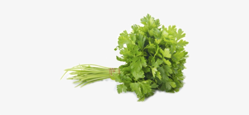 Reportar Abuso - Parsley Png, transparent png download