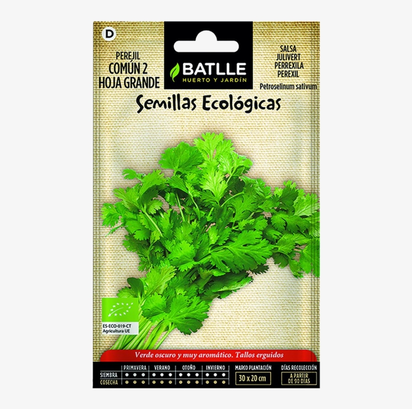 Batlle Common Parsley 2 Large Leaf Organic Seeds, transparent png download