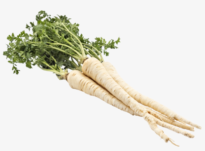 Perejil - Vegetable, transparent png download