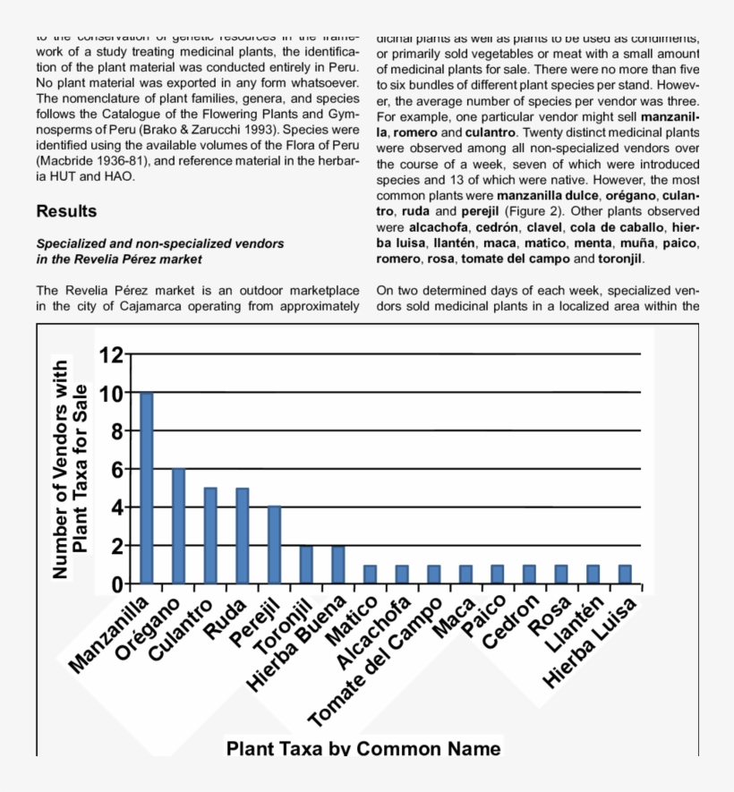 Typical Daily Selection Among Non-specialized Vendors - Document, transparent png download