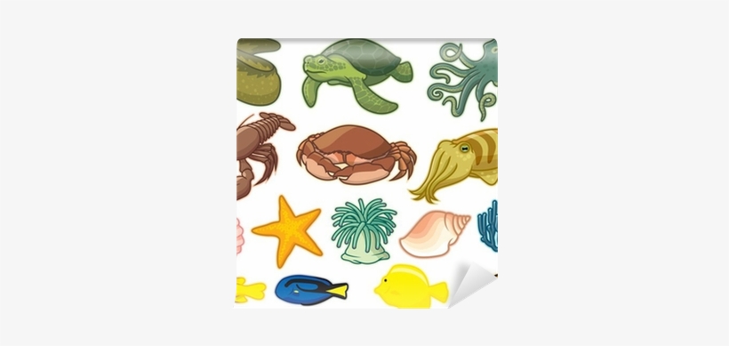 Sea, transparent png download