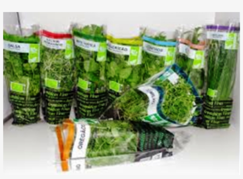 Magento - Sugarcane, transparent png download