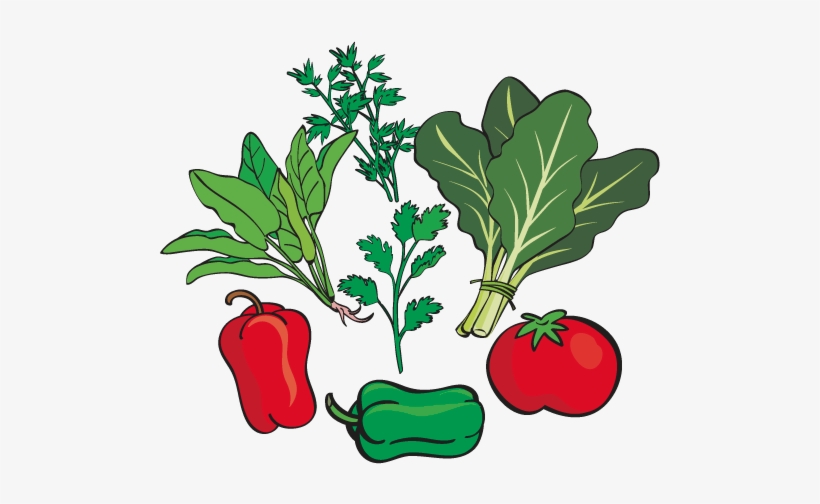 Verduras Como Espinacas, Acelgas, Kuratú, Perejil, - Red Bell Pepper, transparent png download