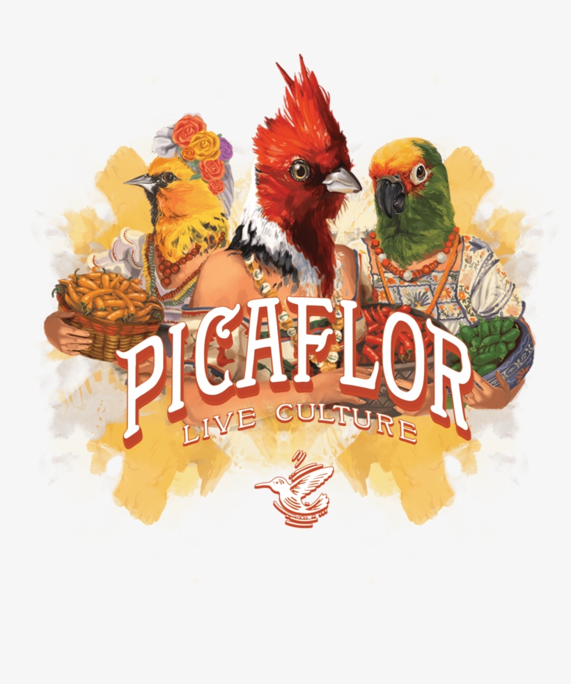 Picaflor Birdladies - Culture, transparent png download