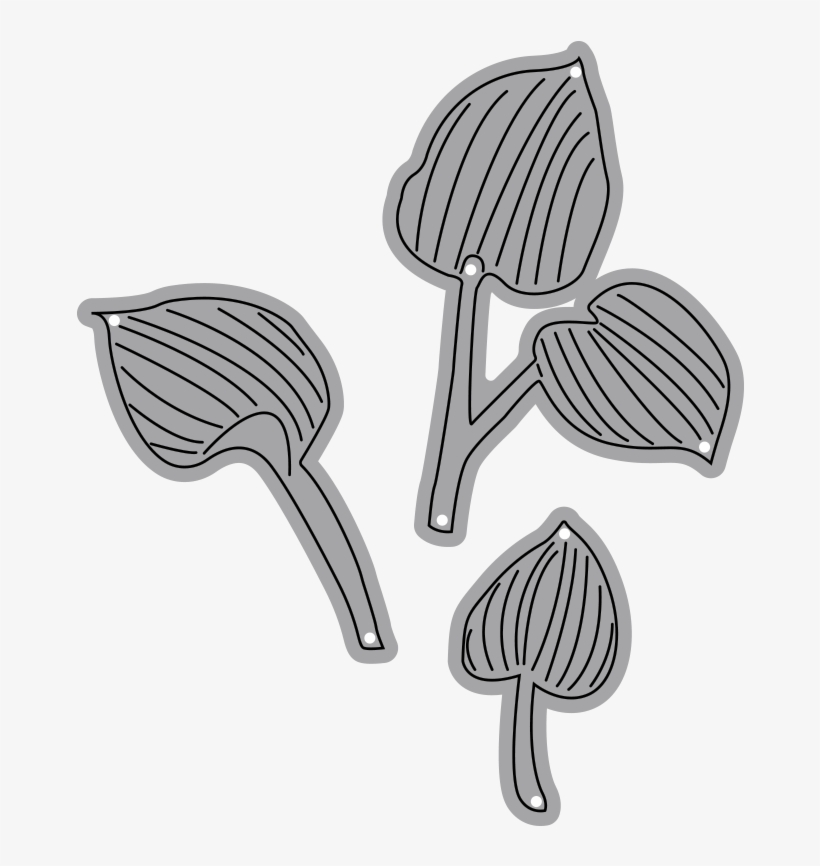 Garden Notes - Hosta Leaves - Garden Notes Clematis, transparent png download