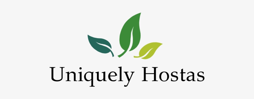 The Hosta Leaf Facebook Page Colesburg, Ia Walk-in - Auburn Dental Aesthetics, transparent png download