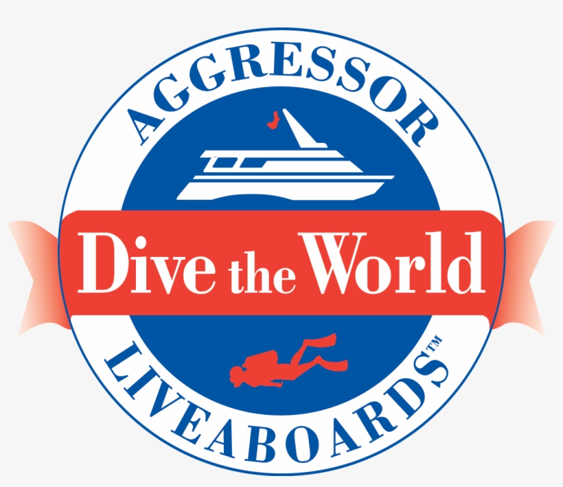 Save 25% Dive The World Weeks - University Of Insubria Logo, transparent png download