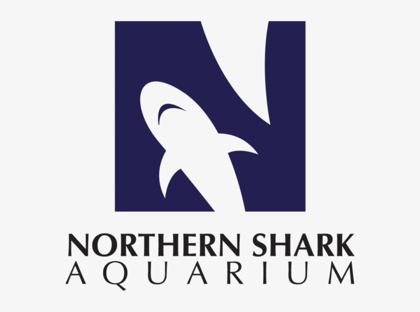 Northern Shark Aquarium, transparent png download