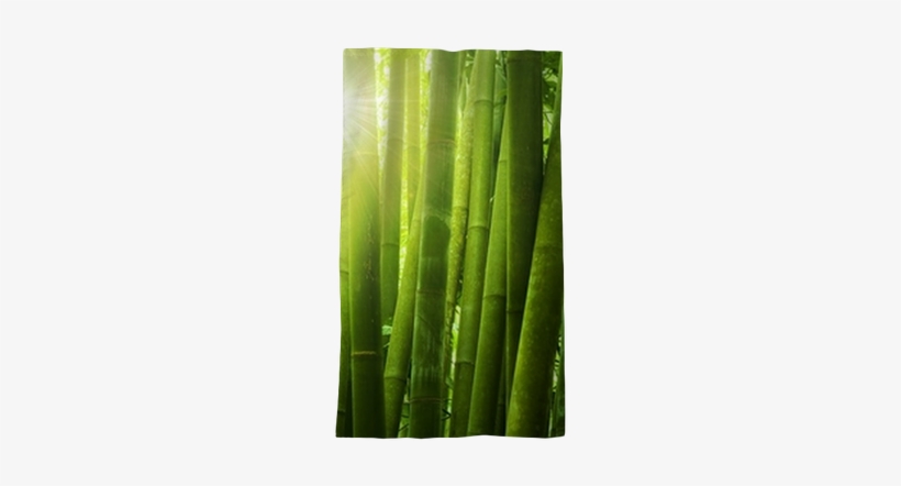 Papier Peint Soleil Et Bambou - Dimension - 400x309, transparent png download