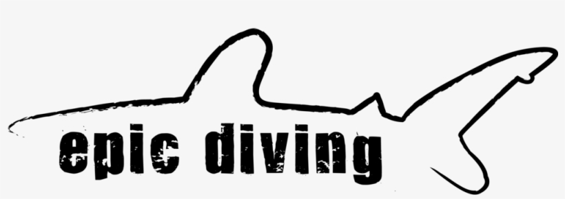 Epic Diving Shark Logo Black - Love Creation Tile Coaster, transparent png download