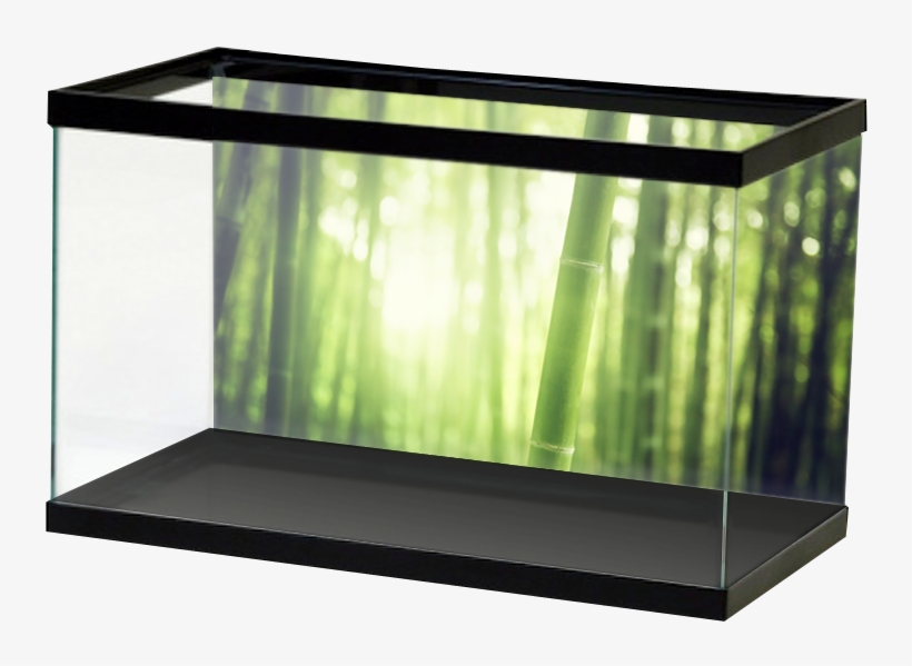 Specialty Bambooforest, transparent png download