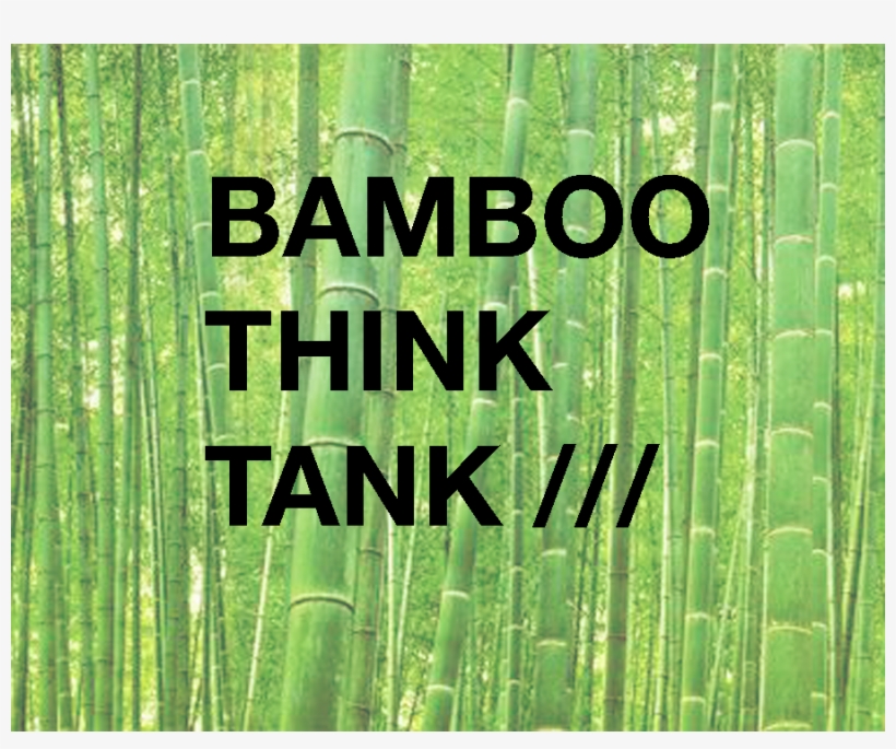 Bamboo Think Tank /// - Grass, transparent png download